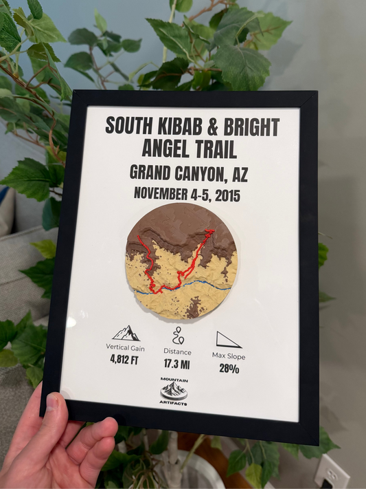 Custom Framed 3D Terrain Map