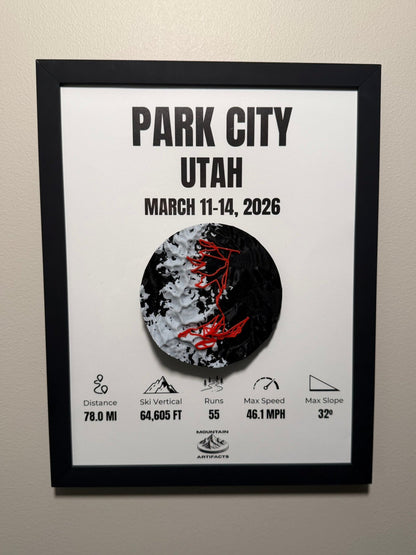 Custom Framed 3D Terrain Map